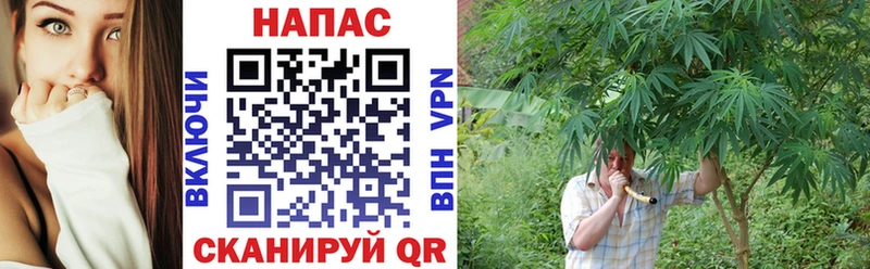 Купить закладку Новоржев Alpha PVP Меф КОКАИН