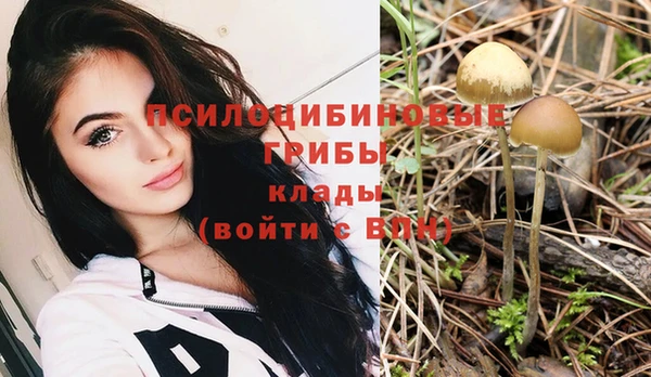 стафф Аркадак