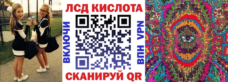 цена наркотик  Новоржев  сайты даркнета состав  Наркотические марки 1500мкг 